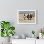 Morning ride along the beach, Anton Mauve  -  Premium Framed Horizontal Poster,Morning ride along the beach, Anton Mauve  -  Premium Framed Horizontal Poster,Morning ride along the beach, Anton Mauve  ,  Premium Framed Horizontal Poster