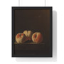 Three Peaches on a Stone Plinth, Adriaen Coorte  ,  Premium Framed Vertical Poster,Three Peaches on a Stone Plinth, Adriaen Coorte  -  Premium Framed Vertical Poster,Three Peaches on a Stone Plinth, Adriaen Coorte  -  Premium Framed Vertical Poster