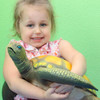 girl holding our toy turtle