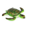 3 large and realistic small wordl turtle toys plus 3 toy eggs for children - right view