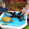 Children playing with our large sea creature toys