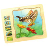 Butterfly Life Cycle Wooden Jigsaw Puzzle with 5 Layers & Easy-to-Grasp Pieces - completed view