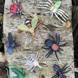 Insect & Bug toys