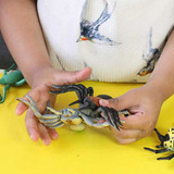 12 piece large small world minibeast toy insects for children and nurseries - main view