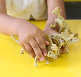6-piece dinosaur skeleton bones set for children - child playing view 2