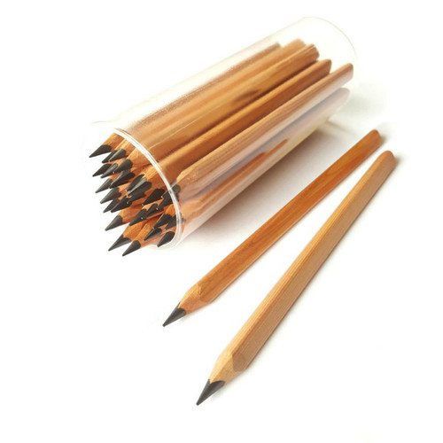 Jumbo HB Pencils Talking Turtle Early Years Stuff