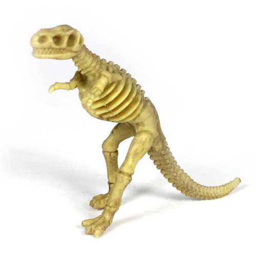 Realistic toy dinosaur skeleton bones & fossils set for children - Dinosaur 2