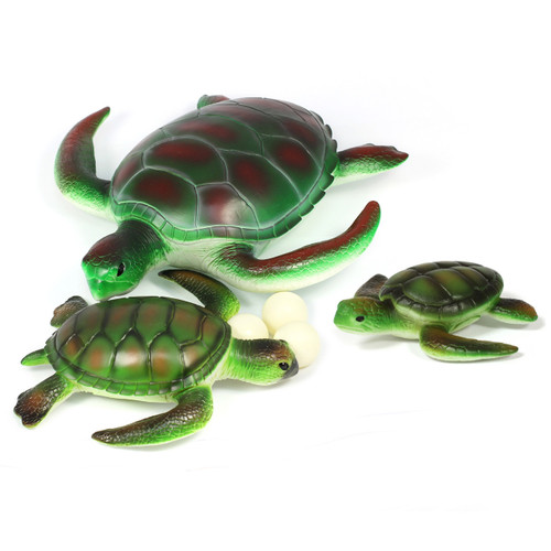 3 large and realistic small wordl turtle toys plus 3 toy eggs for children - child playing view