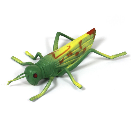 8-piece small world minibeats insect toys for children and nursery schools - Cricket