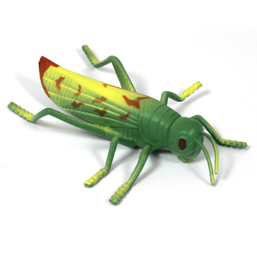 8-piece small world minibeats insect toys for children and nursery schools - Cricket 2