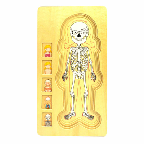 skeleton wooden jigsaw (girl)