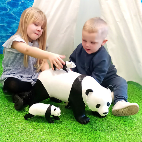 Small panda toy shop