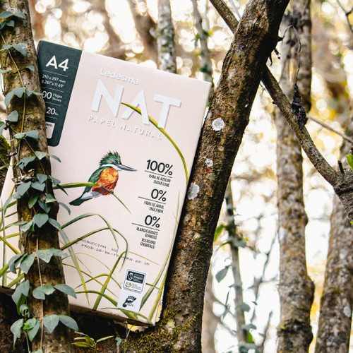 Artway Tree Free Arts & Crafts Paper Pack - 24 A4 Sheets Of Banana, Coconut & Flat Paper