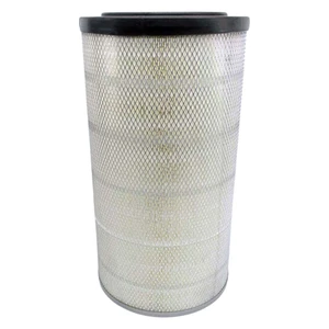 CURTIS RN24089-1 Filter Replacement