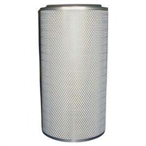 DONALDSON P19-0818 Filter Replacement