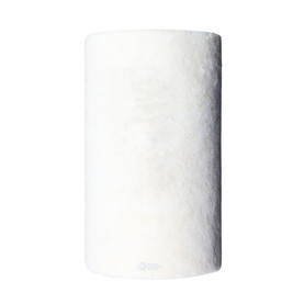 BALSTON 050-05-BX Filter Replacement