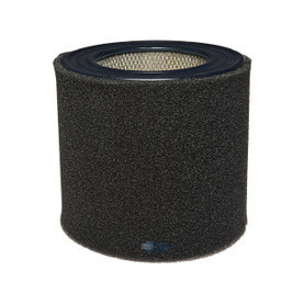 SULLAIR 250026-148 Filter Replacement