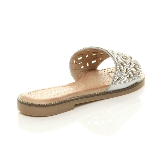Back right side view of Silver PU Flat Diamante Cut Out Flip Flop Sandals