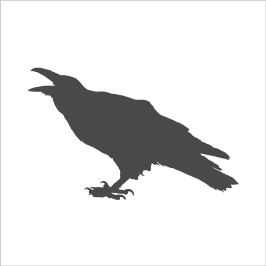 Crow Control
