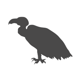 Vulture Buzzard Control