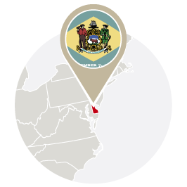 Delaware Bird Control