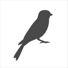 Sparrow Control