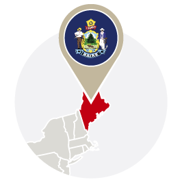 Maine Bird Control
