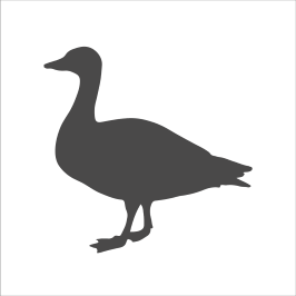Goose Control