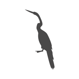 Cormorant Control