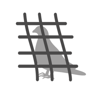 Bird Netting
