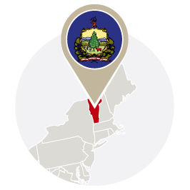Vermont Bird Control