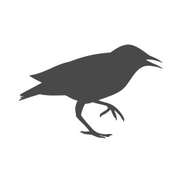 Starling Bird Control