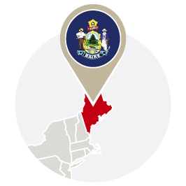 Maine Bird Control