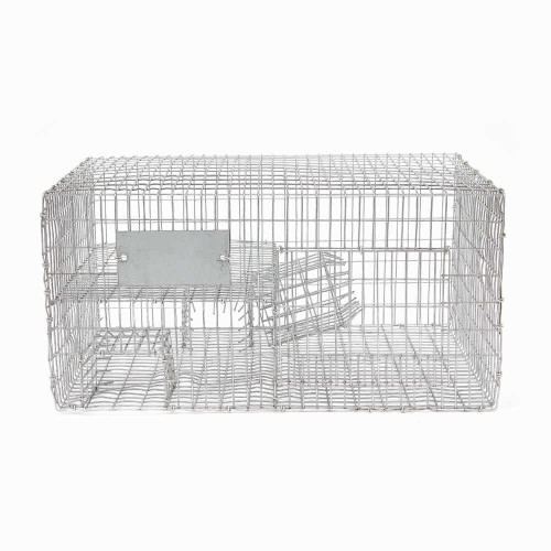 Bird B Gone Sparrow Trap with two chambers