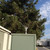 Bird Spider 360 on Utility Box