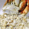 fresh Dungeness crab