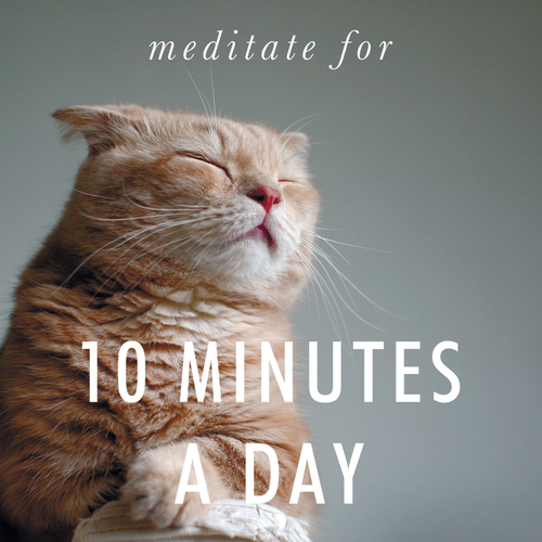 Meditate for 10 Minutes a Day Sticker / Decal / Bumper Sticker