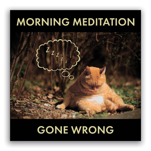 Morning Meditation Gone Wrong Sticker / Decal / Bumper Sticker / Cat / Kitten