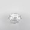 Dessert Container Clear with Lid 250ml Pack Size 100