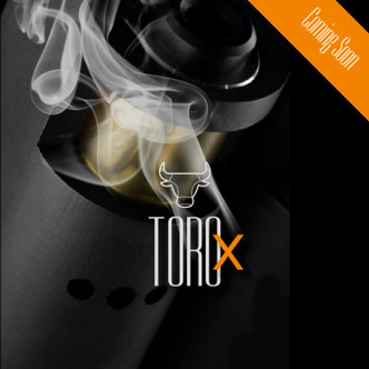 ToroX