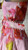 Short Dress W/ Buckle Belt- Pink Floral (High Neck)