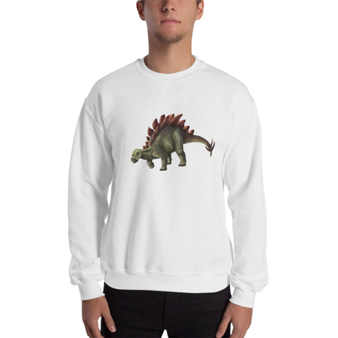 Stegosaurus II Sweatshirt - The Dino Reserve