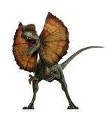 Dilophosaurus | The Iconic Jurassic Dinosaur
