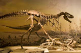 The Symphony of Dinosaur Names - Let’s Explore Paleontological Nomenclature