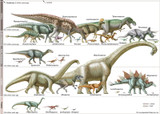 Dinosaurs: A Journey into the Ancient Past