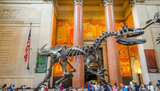 ​Dino-Centric Travel: Exploring the World's Top Dinosaur Sites