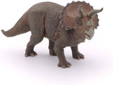 Triceratops - A Herbivore Giant of the Dinosaur Era