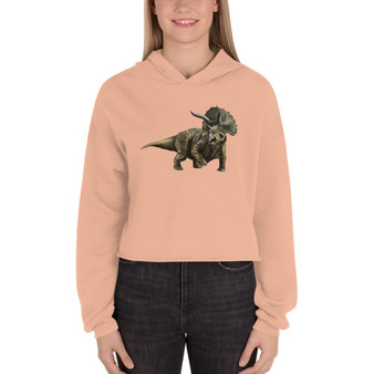 triceratops hoodie, dinosaur hoodie, women's dinosaur hoodie, women's triceratops hoodie