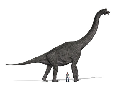 Brachiosaurus - The Majestic Giant of the Jurassic