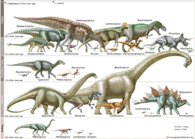 Dinosaurs: A Journey into the Ancient Past